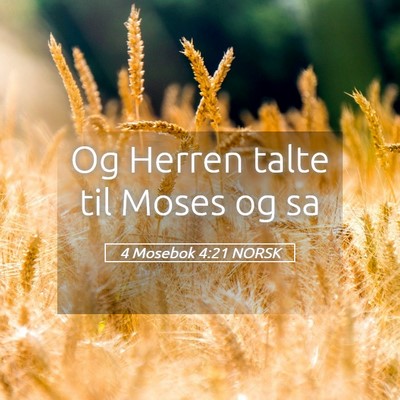 Picture 05 - 4 Mosebok 4:21 NORSK - Og Herren talte til Moses og - Bible Verse Picture