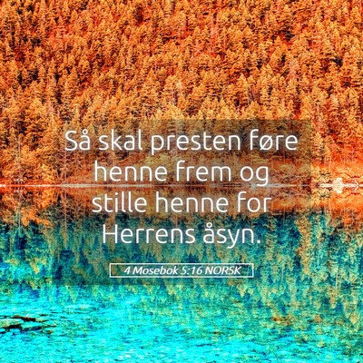 Picture 05 - 4 Mosebok 5:16 NORSK - Så skal presten føre henne frem og stille henne - Bible Verse Picture