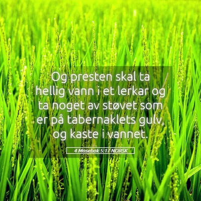 Picture 05 - 4 Mosebok 5:17 NORSK - Og presten skal ta hellig vann i et lerkar og ta - Bible Verse Picture