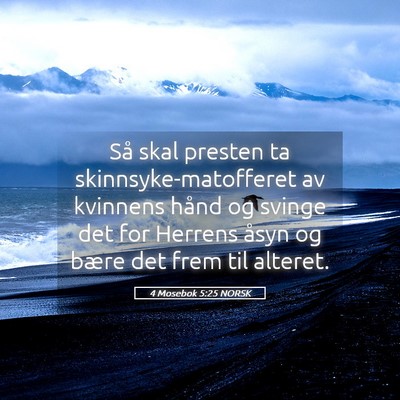Picture 05 - 4 Mosebok 5:25 NORSK - Så skal presten ta skinnsyke-matofferet av - Bible Verse Picture
