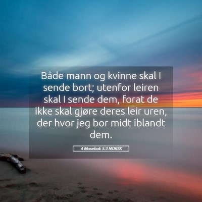 Picture 05 - 4 Mosebok 5:3 NORSK - Både mann og kvinne skal I sende bort; utenfor - Bible Verse Picture