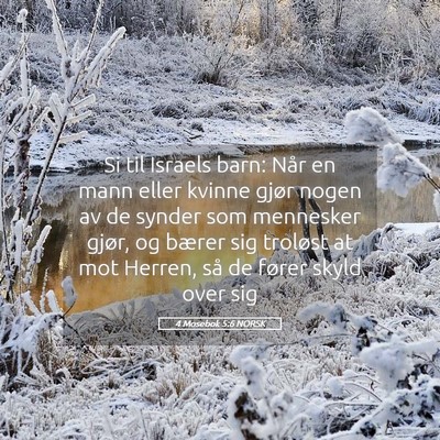 Picture 05 - 4 Mosebok 5:6 NORSK - Si til Israels barn: Når en mann eller kvinne - Bible Verse Picture