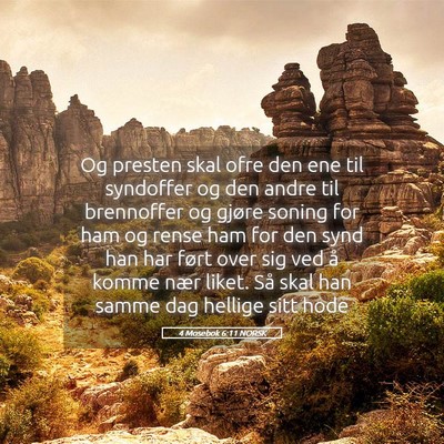 Picture 05 - 4 Mosebok 6:11 NORSK - Og presten skal ofre den ene til syndoffer og den - Bible Verse Picture