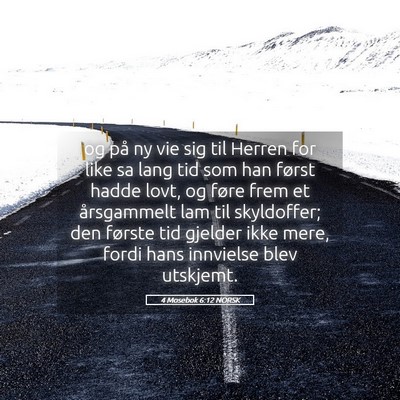 Picture 05 - 4 Mosebok 6:12 NORSK - og på ny vie sig til Herren for like sa lang tid - Bible Verse Picture