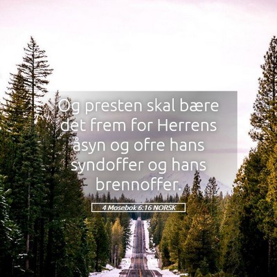 Picture 05 - 4 Mosebok 6:16 NORSK - Og presten skal bære det frem for Herrens åsyn - Bible Verse Picture