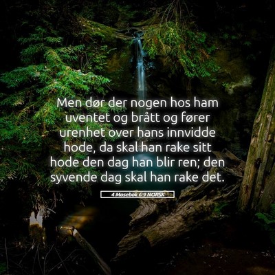 Picture 05 - 4 Mosebok 6:9 NORSK - Men dør der nogen hos ham uventet og brått og - Bible Verse Picture