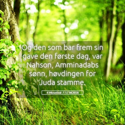 Picture 05 - 4 Mosebok 7:12 NORSK - Og den som bar frem sin gave den første dag, var - Bible Verse Picture