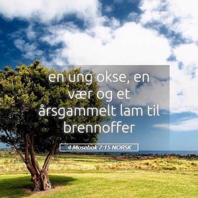 Picture 05 - 4 Mosebok 7:15 NORSK - en ung okse, en vær og et årsgammelt lam til - Bible Verse Picture