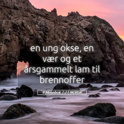 Picture 05 - 4 Mosebok 7:21 NORSK - en ung okse, en vær og et årsgammelt lam til - Bible Verse Picture