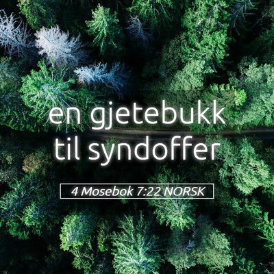Picture 05 - 4 Mosebok 7:22 NORSK - en gjetebukk til - Bible Verse Picture