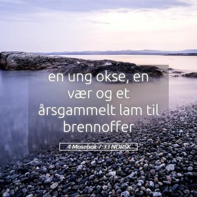 Picture 05 - 4 Mosebok 7:33 NORSK - en ung okse, en vær og et årsgammelt lam til - Bible Verse Picture