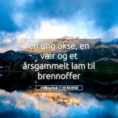 Picture 05 - 4 Mosebok 7:39 NORSK - en ung okse, en vær og et årsgammelt lam til - Bible Verse Picture