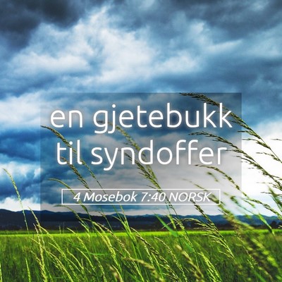 Picture 05 - 4 Mosebok 7:40 NORSK - en gjetebukk til - Bible Verse Picture
