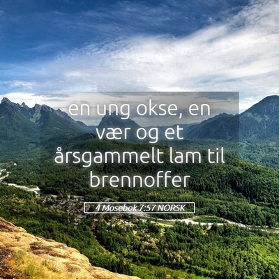 Picture 05 - 4 Mosebok 7:57 NORSK - en ung okse, en vær og et årsgammelt lam til - Bible Verse Picture