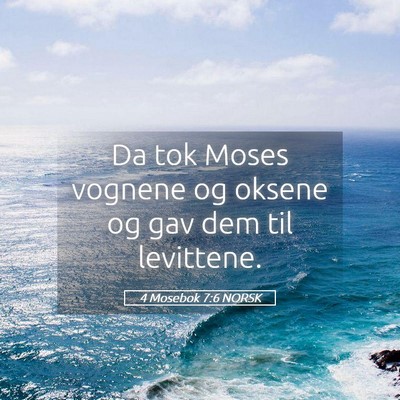 Picture 05 - 4 Mosebok 7:6 NORSK - Da tok Moses vognene og oksene og gav dem til - Bible Verse Picture