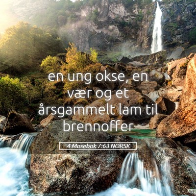 Picture 05 - 4 Mosebok 7:63 NORSK - en ung okse, en vær og et årsgammelt lam til - Bible Verse Picture