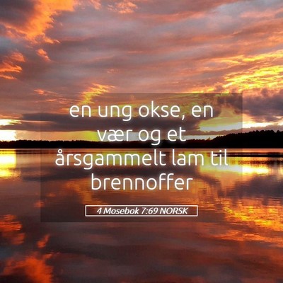 Picture 05 - 4 Mosebok 7:69 NORSK - en ung okse, en vær og et årsgammelt lam til - Bible Verse Picture