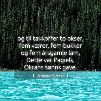 Picture 05 - 4 Mosebok 7:77 NORSK - og til takkoffer to okser, fem værer, fem bukker - Bible Verse Picture