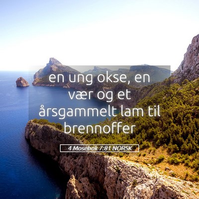 Picture 05 - 4 Mosebok 7:81 NORSK - en ung okse, en vær og et årsgammelt lam til - Bible Verse Picture