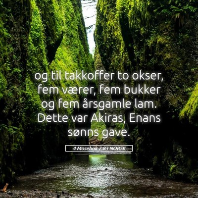 Picture 05 - 4 Mosebok 7:83 NORSK - og til takkoffer to okser, fem værer, fem bukker - Bible Verse Picture