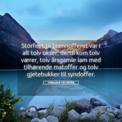 Picture 05 - 4 Mosebok 7:87 NORSK - Storfeet til brennofferet var i alt tolv okser; - Bible Verse Picture