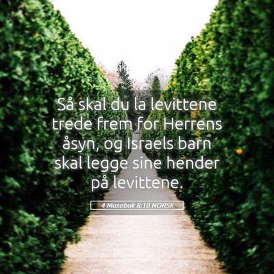 Picture 05 - 4 Mosebok 8:10 NORSK - Så skal du la levittene trede frem for Herrens - Bible Verse Picture