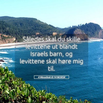 Picture 05 - 4 Mosebok 8:14 NORSK - Således skal du skille levittene ut blandt - Bible Verse Picture