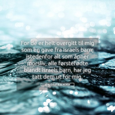 Picture 05 - 4 Mosebok 8:16 NORSK - For de er helt overgitt til mig som en gave fra - Bible Verse Picture
