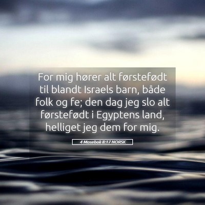 Picture 05 - 4 Mosebok 8:17 NORSK - For mig hører alt førstefødt til blandt - Bible Verse Picture