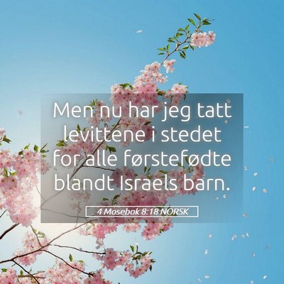 Picture 05 - 4 Mosebok 8:18 NORSK - Men nu har jeg tatt levittene i stedet for alle - Bible Verse Picture