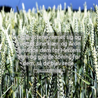 Picture 05 - 4 Mosebok 8:21 NORSK - Og levittene renset sig og tvettet sine klær, og - Bible Verse Picture