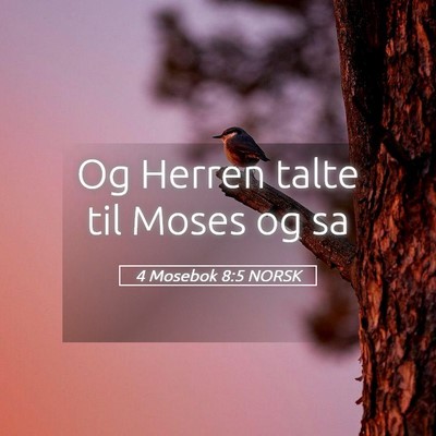 Picture 05 - 4 Mosebok 8:5 NORSK - Og Herren talte til Moses og - Bible Verse Picture