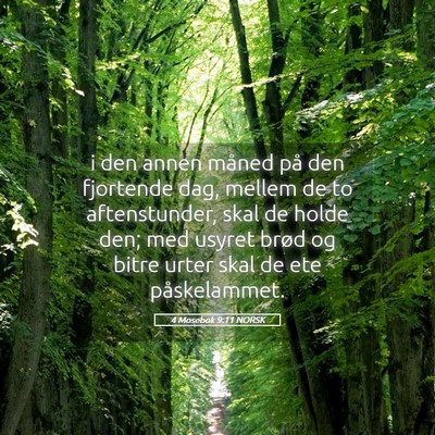 Picture 05 - 4 Mosebok 9:11 NORSK - i den annen måned på den fjortende dag, mellem - Bible Verse Picture