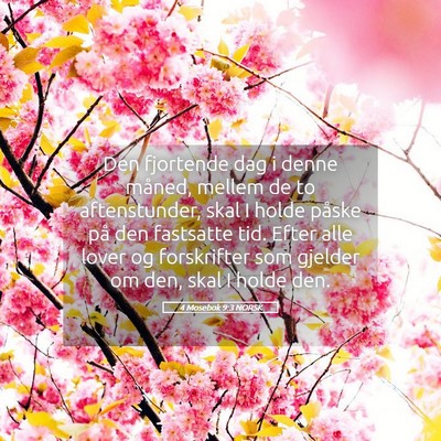 Picture 05 - 4 Mosebok 9:3 NORSK - Den fjortende dag i denne måned, mellem de to - Bible Verse Picture