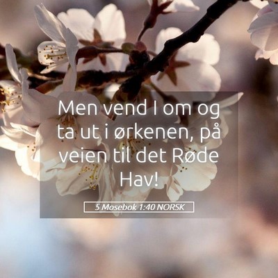 Picture 05 - 5 Mosebok 1:40 NORSK - Men vend I om og ta ut i ørkenen, på veien til - Bible Verse Picture