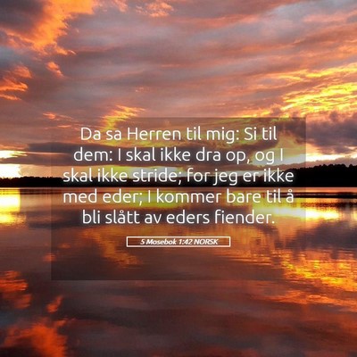 Picture 05 - 5 Mosebok 1:42 NORSK - Da sa Herren til mig: Si til dem: I skal ikke dra - Bible Verse Picture