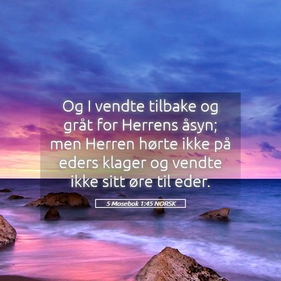 Picture 05 - 5 Mosebok 1:45 NORSK - Og I vendte tilbake og gråt for Herrens åsyn; - Bible Verse Picture