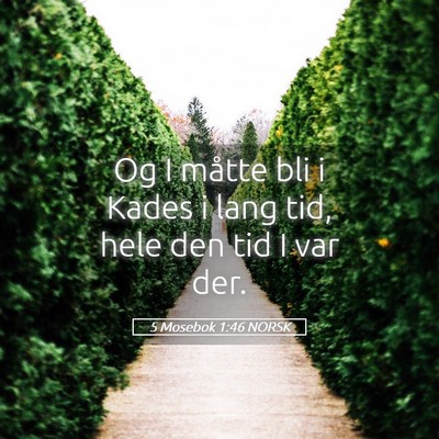 Picture 05 - 5 Mosebok 1:46 NORSK - Og I måtte bli i Kades i lang tid, hele den tid - Bible Verse Picture