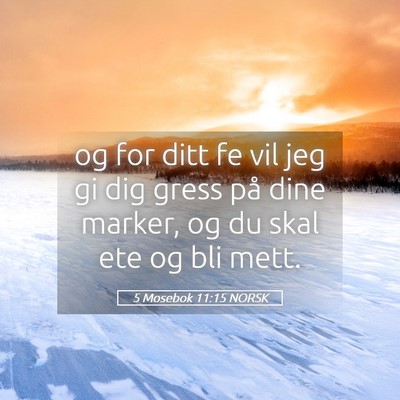 Picture 05 - 5 Mosebok 11:15 NORSK - og for ditt fe vil jeg gi dig gress på dine - Bible Verse Picture