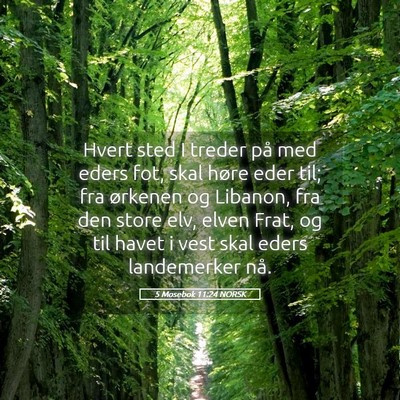 Picture 05 - 5 Mosebok 11:24 NORSK - Hvert sted I treder på med eders fot, skal høre - Bible Verse Picture