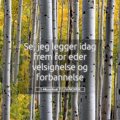 Picture 05 - 5 Mosebok 11:26 NORSK - Se, jeg legger idag frem for eder velsignelse og - Bible Verse Picture