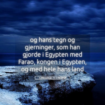 Picture 05 - 5 Mosebok 11:3 NORSK - og hans tegn og gjerninger, som han gjorde i - Bible Verse Picture