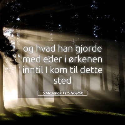 Picture 05 - 5 Mosebok 11:5 NORSK - og hvad han gjorde med eder i ørkenen inntil I - Bible Verse Picture
