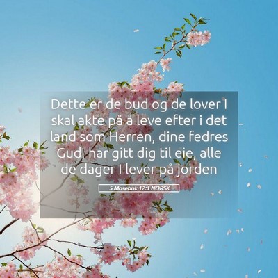 Picture 05 - 5 Mosebok 12:1 NORSK - Dette er de bud og de lover I skal akte på å - Bible Verse Picture