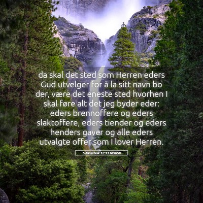 Picture 05 - 5 Mosebok 12:11 NORSK - da skal det sted som Herren eders Gud utvelger - Bible Verse Picture