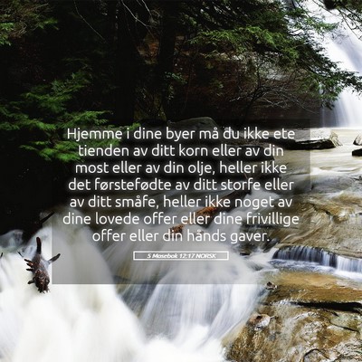 Picture 05 - 5 Mosebok 12:17 NORSK - Hjemme i dine byer må du ikke ete tienden av - Bible Verse Picture