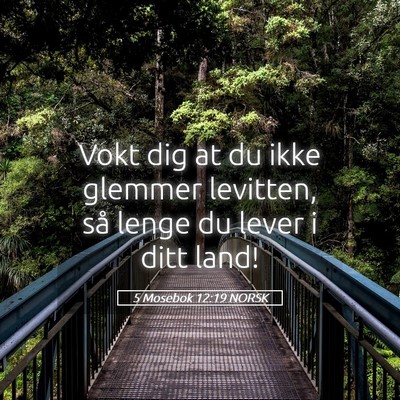 Picture 05 - 5 Mosebok 12:19 NORSK - Vokt dig at du ikke glemmer levitten, så lenge - Bible Verse Picture