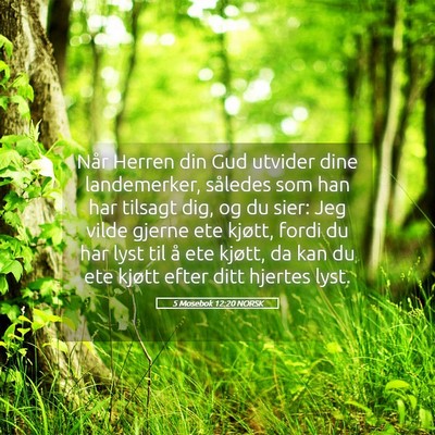 Picture 05 - 5 Mosebok 12:20 NORSK - Når Herren din Gud utvider dine landemerker, - Bible Verse Picture