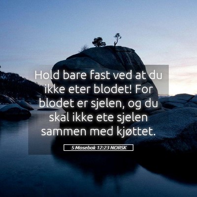 Picture 05 - 5 Mosebok 12:23 NORSK - Hold bare fast ved at du ikke eter blodet! For - Bible Verse Picture