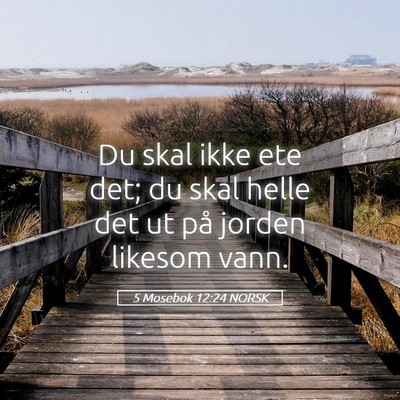 Picture 05 - 5 Mosebok 12:24 NORSK - Du skal ikke ete det; du skal helle det ut på - Bible Verse Picture